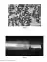 Fig. 03 - Highly reflective crystalline colloidal arrays with radiation absorbing particles