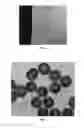 Fig. 05 - Highly reflective crystalline colloidal arrays with radiation absorbing particles