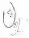 Fig. 02 - Eyewear having angle adjustable nose pads