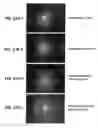 Fig. 28 - Single microstructure lens, systems and methods