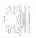 Fig. 19 - Liquid crystal display and manufacturing method thereof