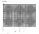 Fig. 01 - LIQUID CRYSTAL DISPLAY