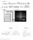Fig. 08 - Orthogonal processing of organic materials used in electronic and electrical devices
