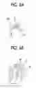 Fig. 07 - IMAGE FORMING APPARATUS, AND MEDIUM TRANSPORTING DEVICE