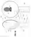 Fig. 32 - Illumination device and image recording medium