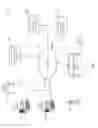 Fig. 02 - Recognition of user drawn graphical objects based on detected regions within a coordinate-plane