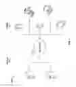 Fig. 02 - CONTENT SELECTION MECHANISMS