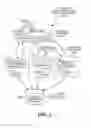 Fig. 04 - Visualization of behavior clustering of computer applications