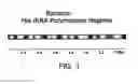 Fig. 02 - METHODS FOR THE SURVEY AND GENETIC ANALYSIS OF POPULATIONS