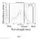 Fig. 08 - MULTISPECTRAL IMAGING BIOMETRICS