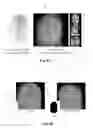 Fig. 10 - MULTISPECTRAL IMAGING BIOMETRICS