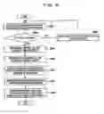 Fig. 09 - Display control device and method