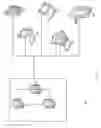 Fig. 02 - SYSTEM AND METHOD OF LOADING PLANT SPECIES FOR TRANSPORTATION