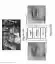 Fig. 09 - Efficient approximate-nearest-neighbor (ANN) search for high-quality collaborative filtering