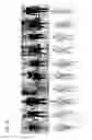 Fig. 19 - Method for providing a three dimensional body model