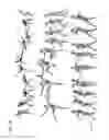 Fig. 20 - Method for providing a three dimensional body model