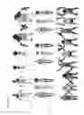 Fig. 22 - Method for providing a three dimensional body model