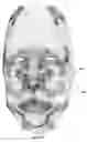 Fig. 05 - Methods and Systems for Generating Continuous Surfaces from Polygonal Data