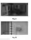 Fig. 02 - Paper money identification method and device