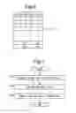 Fig. 06 - Liquid crystal display device and method for driving same