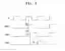 Fig. 07 - Circuit for controlling write leveling of a target module and a method thereof