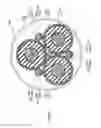 Fig. 07 - Power cable