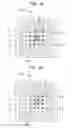 Fig. 05 - Printed circuit board and stacked semiconductor device