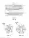 Fig. 06 - White LED assembly with LED string and intermediate node substrate terminals