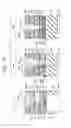 Fig. 16 - Semiconductor device