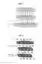 Fig. 02 - METAL OXIDE STRUCTURES, DEVICES & FABRICATION METHODS