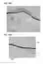 Fig. 35 - Electrode, power storage device, and electronic device