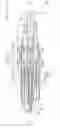 Fig. 01 - Spark plug