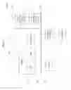 Fig. 09 - Apparatus and method for collecting state information of solar module