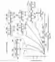 Fig. 20 - Composite RF current attenuator for a medical lead