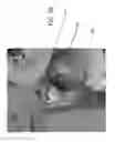 Fig. 33 - Small UAS With High Definition Video