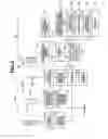 Fig. 04 - Focusing adjustment apparatus and focusing adjustment method