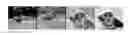 Fig. 01 - Image encoding and decoding apparatus and method