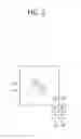 Fig. 06 - METHOD FOR DERIVING A TEMPORAL PREDICTIVE MOTION VECTOR, AND APPARATUS USING THE METHOD