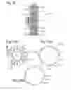 Fig. 07 - Housing, a support, an assembly, and a method of manufacture