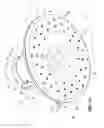 Fig. 02 - Speaker and shower