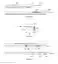 Fig. 10 - Adaptations of dual connectivity operation to UE capability
