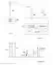 Fig. 08 - Method and arrangement for acquiring scheduling information