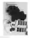 Fig. 01 - Grapevine ' IFG Eighteen'