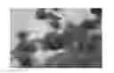 Fig. 01 - Gomphrena Plant Named 'SAKGOM004'