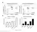 Fig. 09 - Genetically modified non-human animals and methods of use thereof