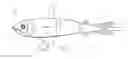 Fig. 02 - Artificial fishing lure