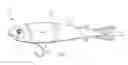 Fig. 02 - Artificial fishing lure