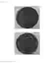 Fig. 02 - Baked Lotus Root Cake, Solid Food Using Lotus Root Powder, and Methods for Manufacturing Same