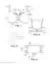 Fig. 02 - Brassiere accessory