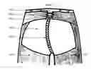 Fig. 01 - UnderChaps